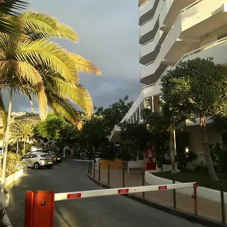 Venezuela Playa de las Americas (Tenerife)